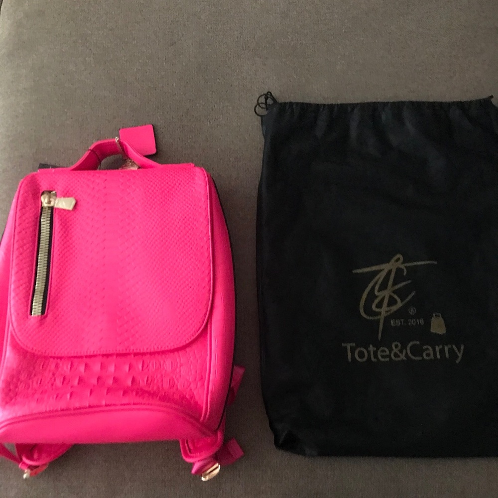 NWT - Hot pink Tote&carry bag/dust cover